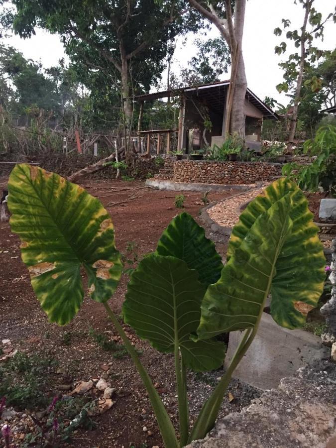 Maya Rustic Hotel Uluwatu  Exterior photo